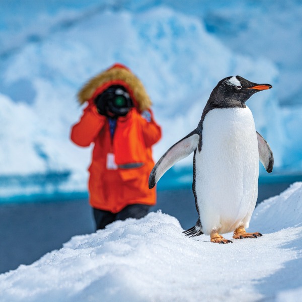 Discovery comes first with Lindblad