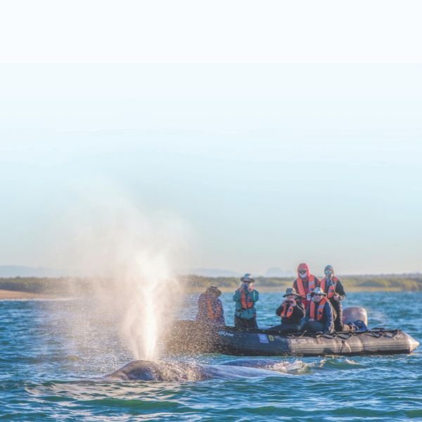 Embark with National-Geographic Lindblad Expeditions