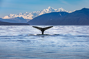 Roundtrip Juneau